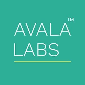 Avala Labs
